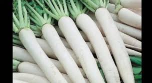 We did not find results for: Utilizzi Del Daikon Il Ravanello Giapponese Perfetto Per Dimagrire