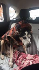 Justanswer.com has been visited by 100k+ users in the past month Plumtrees Animal Hospital 65 Newtown Rd Danbury Ct Veterinarians Mapquest