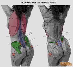 Art you create is your art to use or sell as you wish!. Artstation Blocking Out The Female Torso Back Anatomy For Sculptors In 2021 Anatomy For Sculptors Female Anatomy Reference Human Anatomy Drawing