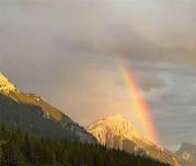 Healing Through Grief Group Reiki 11-22-26