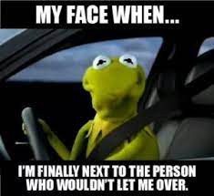 55+ funniest bear puns ﻿and funny quotes; 50 Best Driving Quotes Funny Iman Sumi Quotes