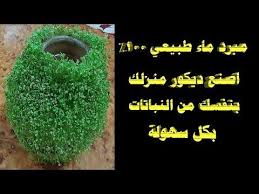 زراعة الحب الرشاد علي الفخار youtube