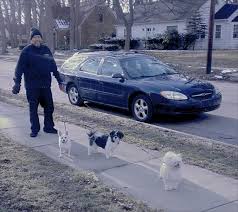 Get info on pet city pets in ypsilanti, mi 48198. 700 Puppy Stolen From Ypsilanti Township Is Gaining National Attention Wemu