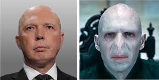 Voldemort demands Tanya Plibersek apologise for 'hurtful' comparisons to  Peter Dutton : r/australia