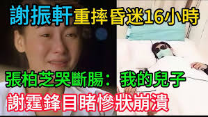 Singapore General Election 2015: Only You Can Complete My Song!  新加坡大选：只有你能完成我的歌！