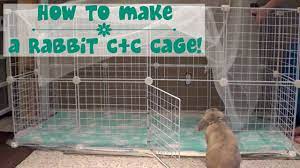 That is why it is essential to set up the rabbit cage in a perfect manner. How To Build A Rabbit Cage Youtube