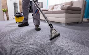 Nettoyeur vapeur tapis et sols. Obtenir Une Moquette Impeccable Sans Nettoyeur Vapeur Shravaka Ch