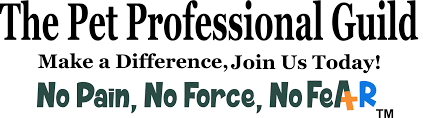 Most studies of puppy socialization have found that deliberate socialization efforts are correlated with good results for puppies. The Pet Professional Guild British Isles Professional Membership