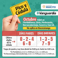 Bucaramanga noticias, bucaramanga (bucaramanga, santander). Como Esta Funcionando El Pico Y Cedula En Santander Vanguardia Le Cuenta Vanguardia Com