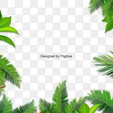 Leaves Palm Green Leaf Leaves Vector Background Png Transparent Clipart Image And Psd File For Free Download Ilustracao De Rosa Aquarela Floral Folhas De Aquarela