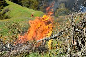 Most of the fire departments are not equipped to control wildland fires that have burned beyond areas that can be reached from roads. Coronavirus In California Controlled Burns Could Cause Respiratory Issues For Covid 19 Patients The New York Times