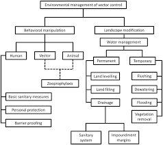 Frontiers | Perspectives of vector ...