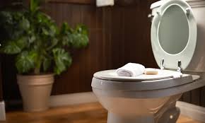 Using Fabric Softener In The Toilet Tank: A Comprehensive Guide - North  Shore Crafts