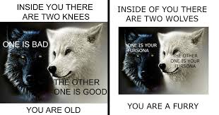 The best memes from instagram, facebook, vine, and twitter about wolf. Metaphorical Memes About The Two Wolves Inside You Memebase Funny Memes