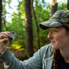 Allison Brehm's Instagram, Twitter & Facebook