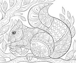 Coloring pages squirrel coloring page the fox pages cute. Adult Coloring Book Page A Cute Squirrel Image For Relaxing Stock Vector Illustration Of Decorate Fashion 128471347