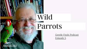 Wild Parrots and Consciousness with Mark Bittner