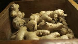 Juga temukan cara untuk meredakan batuk selama kehamilan tanpa sifat antivirus dari salah satu zat yang terkandung dalam jahe dapat menghilangkan virus yang menyebabkan batuk kering. Obat Batuk Untuk Ibu Hamil Yang Alami Dan Ada Di Rumah Kumparan Com