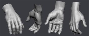 Selwy Com Download Free Model Arthur Human Anatomy For Artists Zbrush Zbrush Models