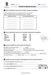 L'accord des adjectifs de couleur. Exercice Accord De L Adjectif Qualificatif Cm2 Cycle 3