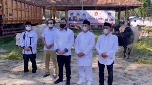 Check spelling or type a new query. T8s15mjzultrcm