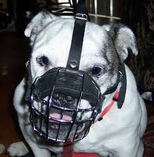 Site products are english bulldog muzzle, harness, prong or pinch collar, leashes, bite sleeve/covers and more. All About English Bulldog Dog Breed Com M4 1093 Wire Basket Dog Muzzle Dog Muzzle Aggressive Dog English Bulldog Dog