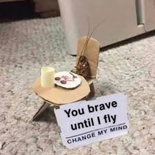 69 change my mind memes subscribe: You Brave Until I Fly Change My Mind Meme Ahseeit