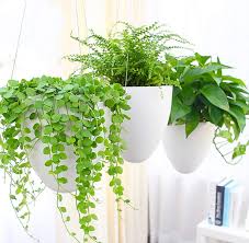 Check spelling or type a new query. The Best Outdoor Hanging Planters To Let Your Backyard Shine Southern Living