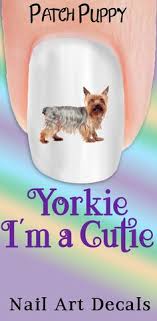 Stainless steel kitchen utensil set australian terrier pictures. Cookie Cutters Cookie Cutter Yorkshire Terrier Yorkie Dog Puppy Backing Breed Stainless Steel Home Garden