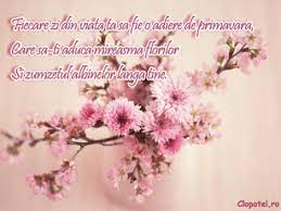 Maybe you would like to learn more about one of these? 1 Martie Mamydealex