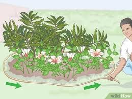 This plastic lawn edge is corrugated for additional strength and flexibility. How To Install Plastic Lawn Edging 12 Steps With Pictures