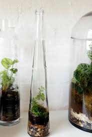 Galliano Bottle Terrarium By Little Lands Garden Terrarium Miniature Garden Small Gardens