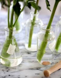 To make things worse, studies have shown that the bacteria the antibiotic is being used to treat may, at lower concentrations of the drug, develop resistance that. Tried And Tested How To Make Fresh Flowers Last Longer Gardenista