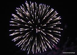 Feuerwerk Mandala Painting Fireworks Flowers