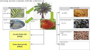 Pdf Potential Of Biomass Residues From Oil Palm Agroindustry In Indonesia Semantic Scholar