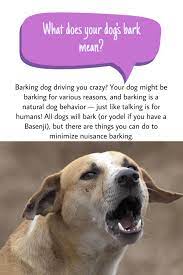 Pin On Health And Wellness