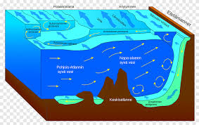The gulf stream, together with its northern extension the north atlantic drift, is a warm and swift atlantic ocean current that originates in the gulf of mexico and stretches to the tip of florida and follows the eastern coastlines of the united states and newfoundland before crossing the atlantic ocean as the north atlantic current. Antarktis Zirkumpolare Stromung Nordatlantische Stromung Weltozean Golfstrom Meeresstromung Meer Antarktischer Zirkumpolarer Strom Bereich Png Pngegg