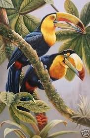 Beautiful Bird Paintings On Canvas Handicrafts Repro Oil Painting Toucan In Canvas 24x36 Parrots Art Birds Painting Beautiful Birds