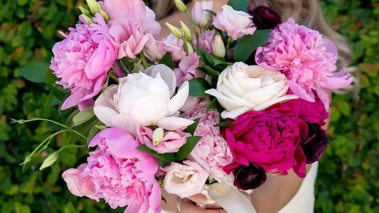 Peony Wedding Flowers Guide: Info & Tips | Bouqs Blog