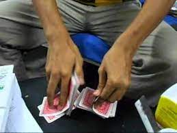 Cara menanam dan merawat bunga matahari casa indonesia bendbulletin.com anda dapat menangani masalah ini dengan memotong daun yang sudah menguning tapi dan berikan fungisida. Skill Menyusun Atur Daun Terup Youtube