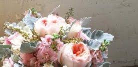 Things to do in fort collins. Wholesalers Of American Grown Flowers