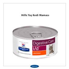 Kedilerin Asla Hayir Diyemedigi Lezzetler En Iyi Konserve Kedi Mamasi Markalari Ve Cesitleri