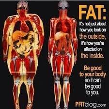 Pin On Fitness Motivation