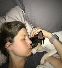 TOY FOX TERRIER OWNERS PUPPY PHOTOS