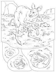 Coloring Book Animals J To Z Coloring Pages Animal Coloring Books Animal Coloring Pages