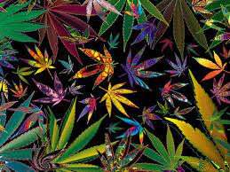 Iphone x background 4k trippy psychedelic 6 download free. Trippy Weed Wallpapers Wallpaper Cave