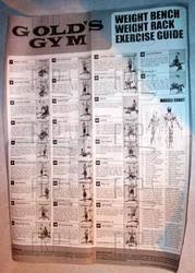 Gold U S Gym Xrs 50 Exercise Chart Pdf Bedowntowndaytona Com