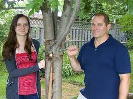 Check spelling or type a new query. Growing Things Salvage Cracked Tree Trunks By Bolting Them Together Edmonton Journal