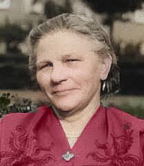 Descendants of Henricus Jansen Doornekamp