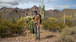 Cacti are succulents and use the water they store in their tissue to help them survive long, dry periods. Extending Zero Tolerance To People Who Help Migrants Along The Border Npr